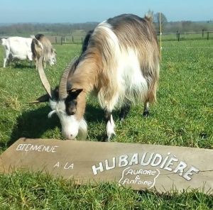 GFA Les Biquettes - Ferme de la Hubaudière