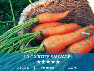 La Carotte Sauvage